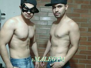 2MALEGYM
