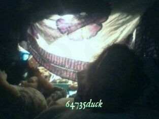 64735duck