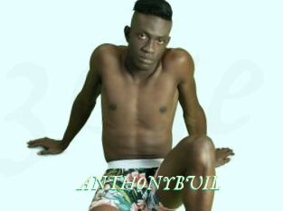 ANTHONYBUIL