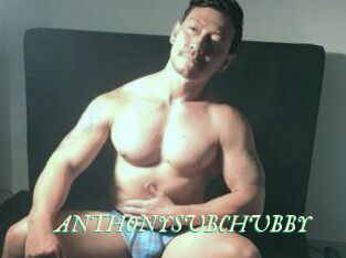 ANTHONYSUBCHUBBY