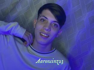 Aaronsinz23