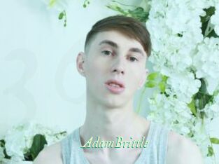 AdamBrittle