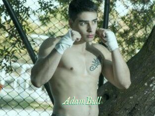 AdamBull