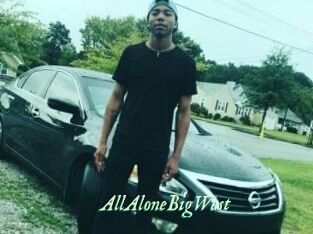 AllAloneBigWest