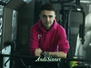 AndiSinner