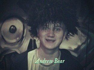 Andrew_Bear