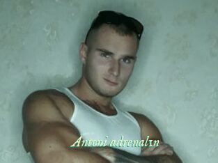 Antoni_adrenal1n