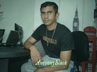AntonnyBlack