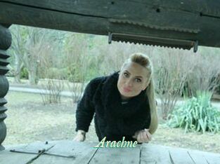 Arachne