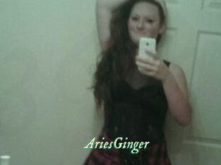 AriesGinger