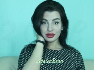 AzaleaBean