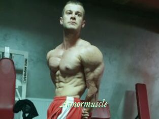Aanormuscle