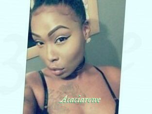 Acacia_rowe
