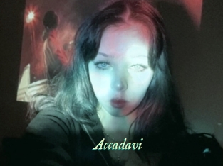 Accadavi