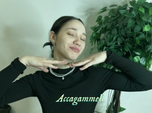 Accagammell