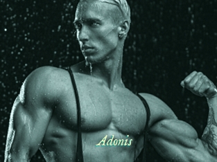 Adonis_