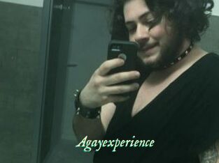 Agayexperience