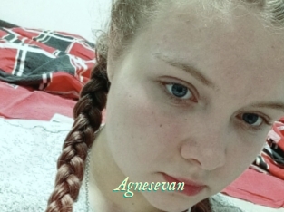 Agnesevan