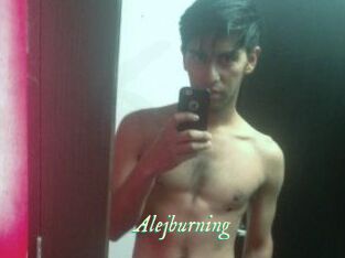 Alejburning