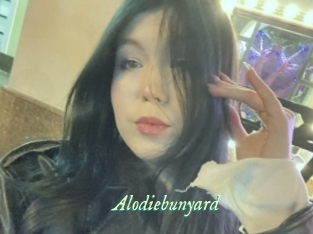 Alodiebunyard