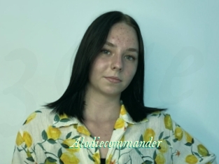 Alodiecommander