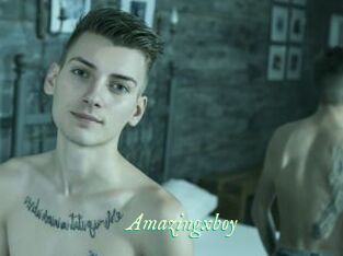 Amazingxboy