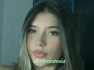 Amberantonia