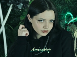 Aminaklep