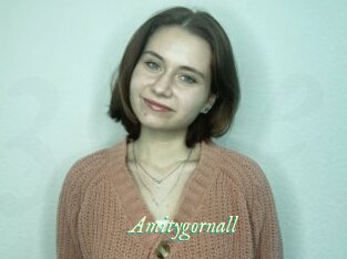 Amitygornall