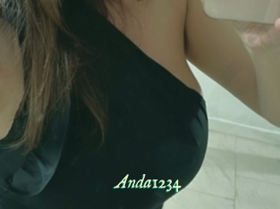 Anda1234