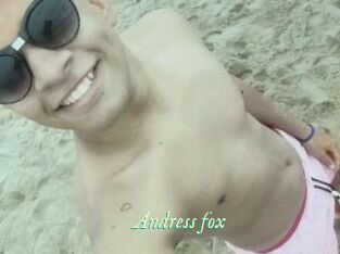 Andress_fox