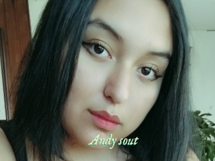 Andy_sout