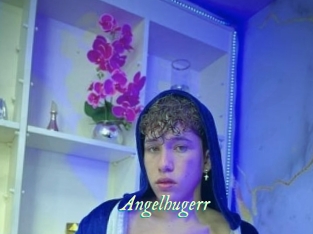 Angelhugerr