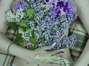 Angelofgrom