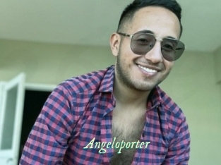 Angeloporter