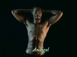 Anibigxl