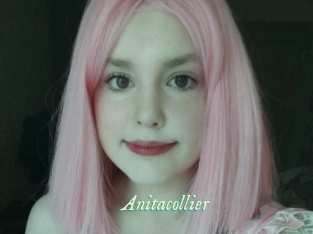 Anitacollier
