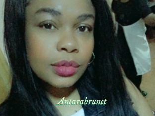 Antarabrunet