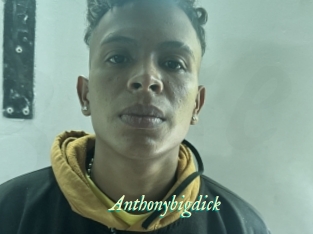 Anthonybigdick