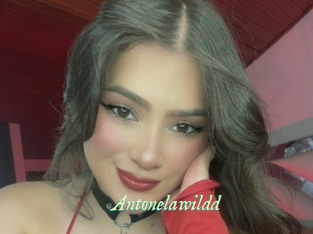 Antonelawildd