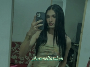Antonellatobon