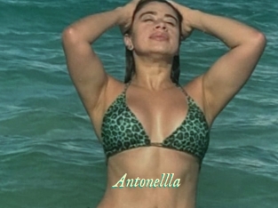 Antonellla