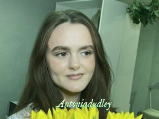 Antoniadudley