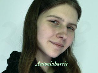Antoniaharrie