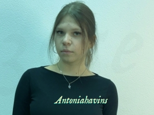 Antoniahavins