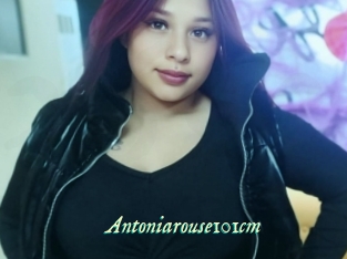 Antoniarouse101cm