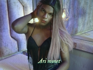 Ari_monet
