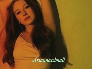Ariannaschnall