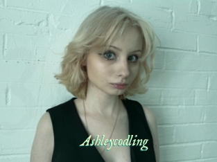 Ashleycodling