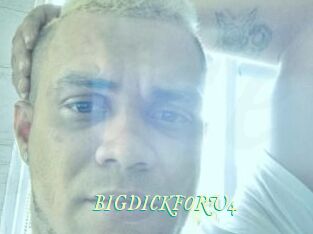 BIGDICKFORU4
